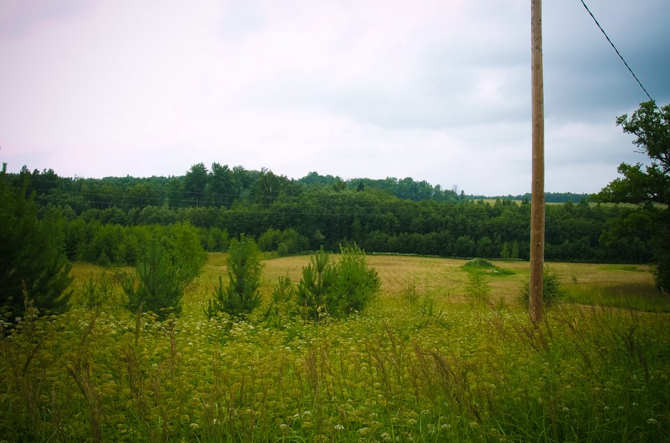 Baišleja Ravine