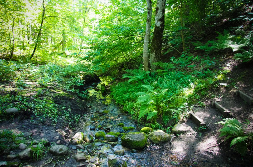 Bolēni Eye Spring