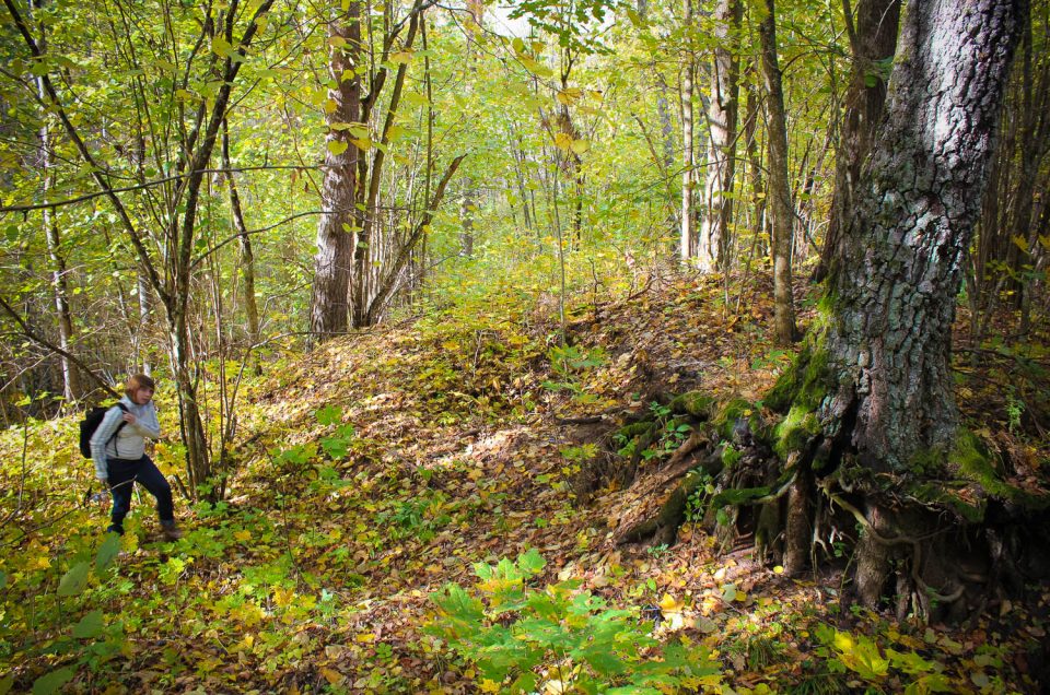 Muldenieki Sacrificial Hill (probably, a hillfort)