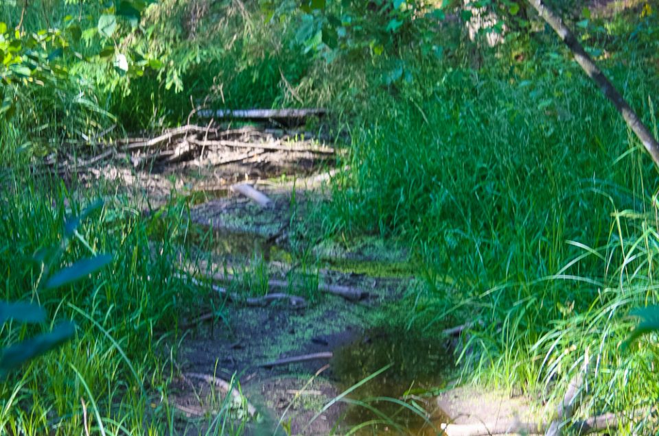 Pobrenči Holy Spring