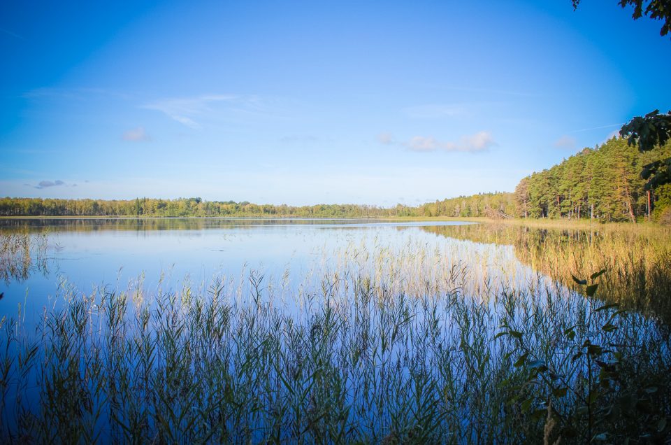 Lake Svetes