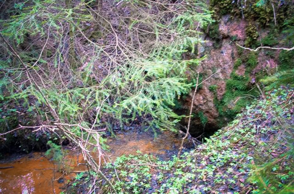 The Fröland spring