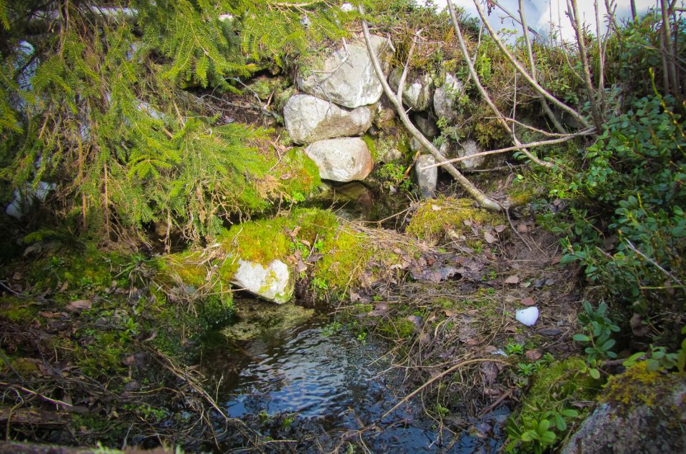 The Vitbergsvallen spring