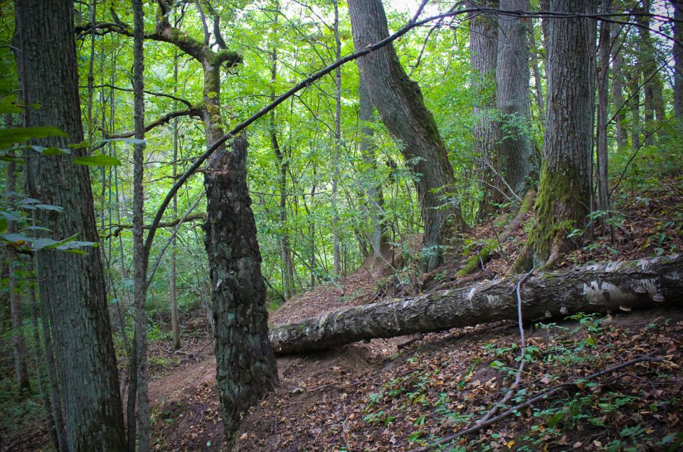 Barbele Pilveri’ hillfort