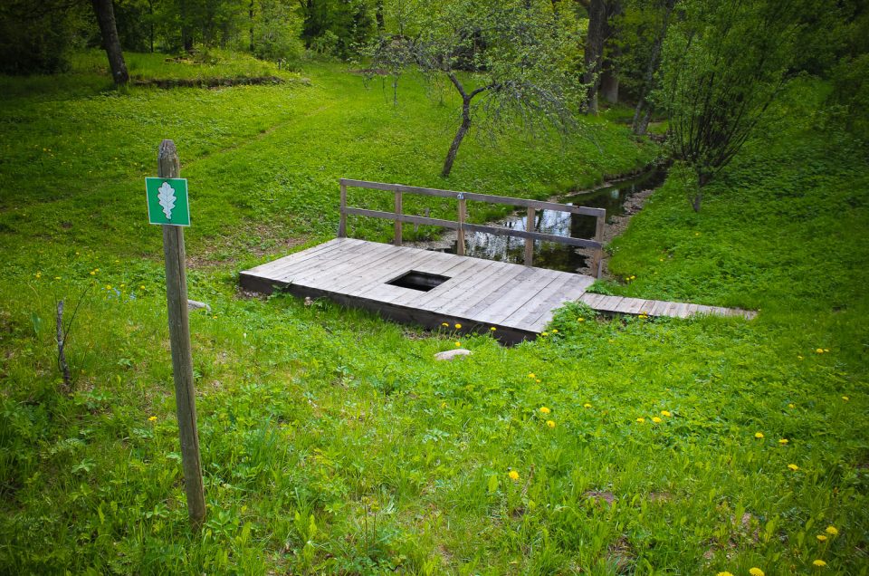 Barbele sulphur spring