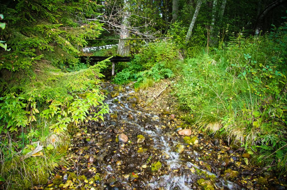 Krākas Springs