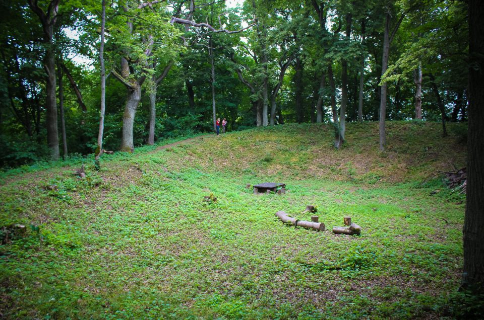 Mezotne Wine Hill