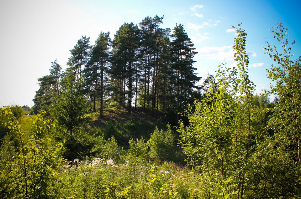 Probable cult hillock at Skosu hillfort