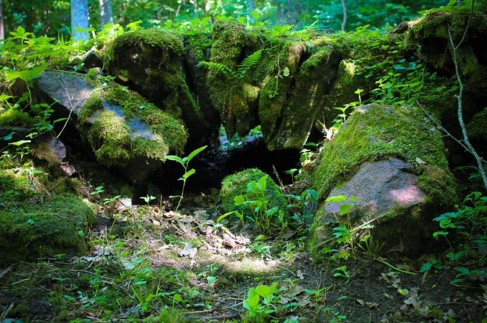 Vilce Devil’s Ravine with the Devil’s Bridge