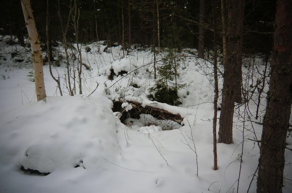 The healing spring in Sälgviken