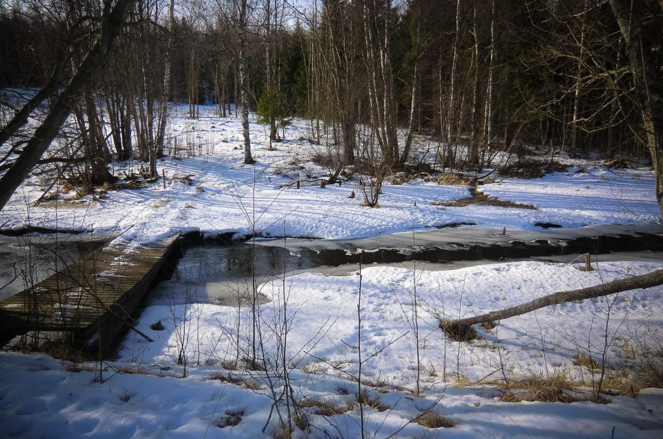 The Myskje stream Trinity Spring