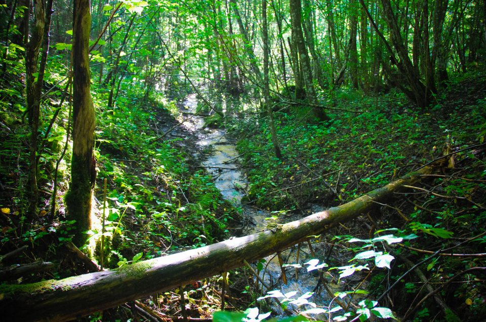 Elderene Holy Springs and Devil’s Stone