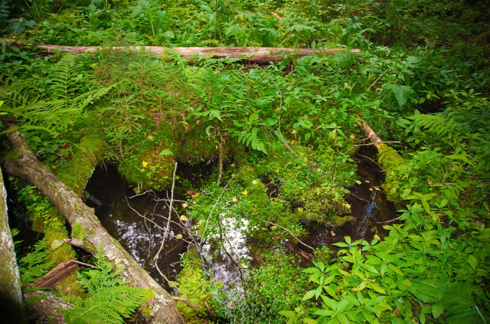 Mazstepes Holy Spring