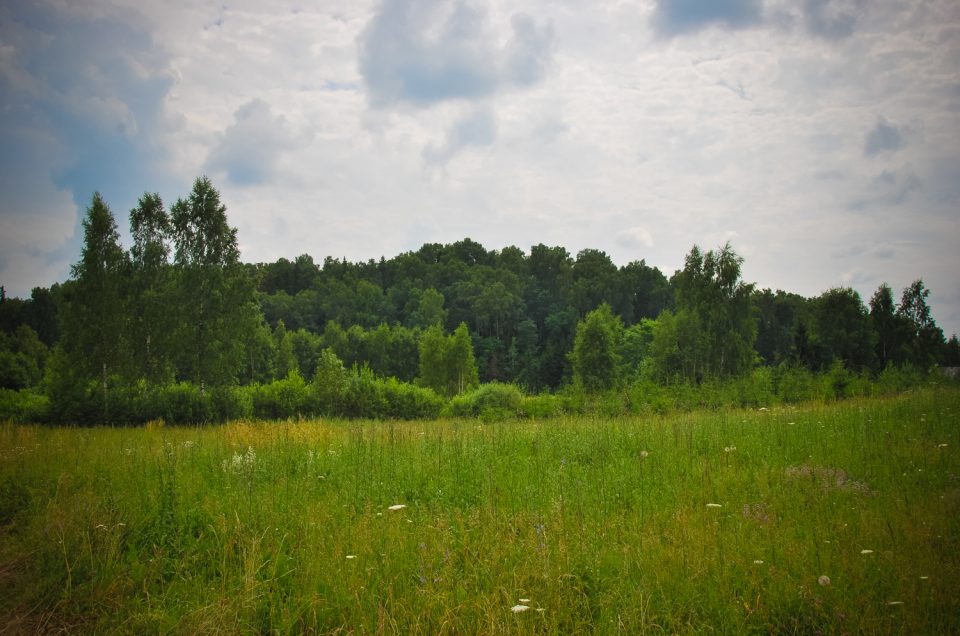 Mežīte Idols’ Hill