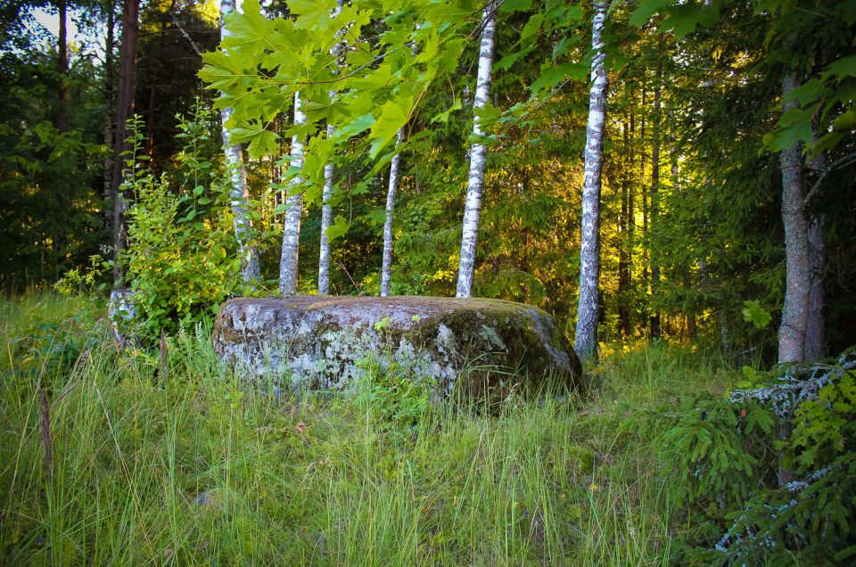 Dronkas Devil’s Stone