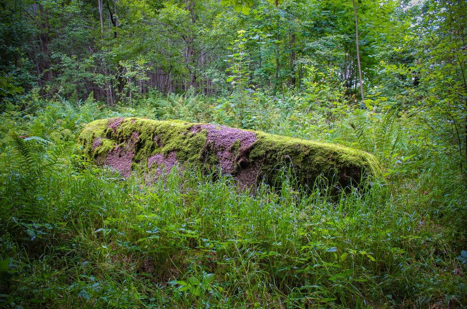 Ezernieki Devil’s Stone