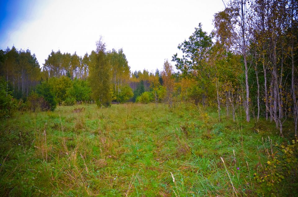 Old sacrificial and worship site Levalõpma Iienukk