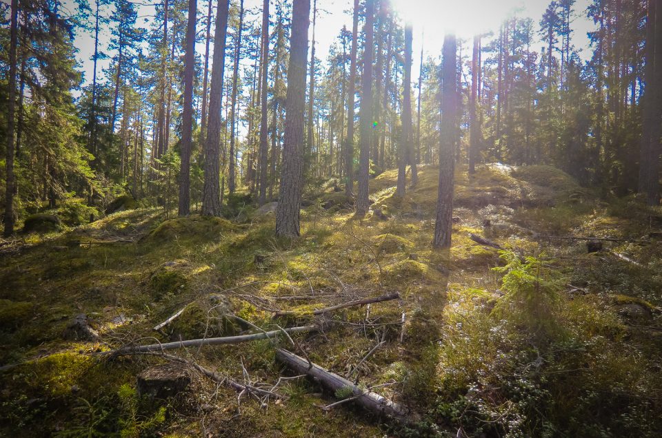 Site of ritual deposition Skörskallen