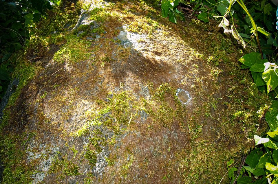 The 3rd Cup Marked-Stone of the Buses Hillfort