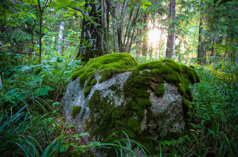 Lielmeži Hollow Stone