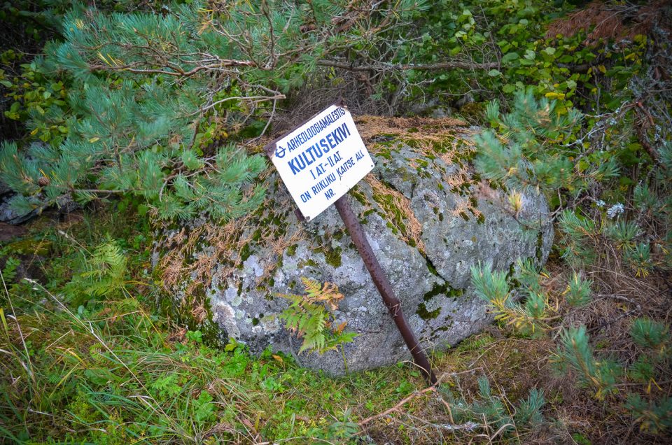 Lõiuse cup-marked stone 1