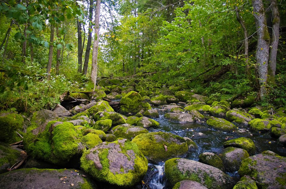 Nāruža Devil’s Ditch