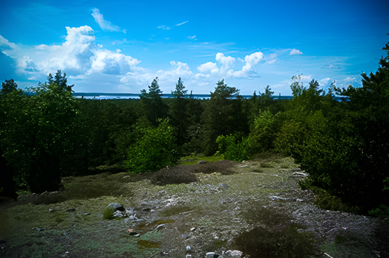 Hästholmen labyrinths