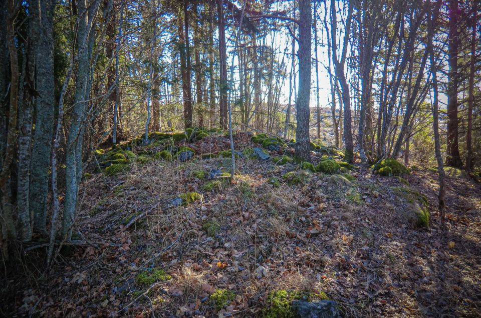 Grave field Nyppberg