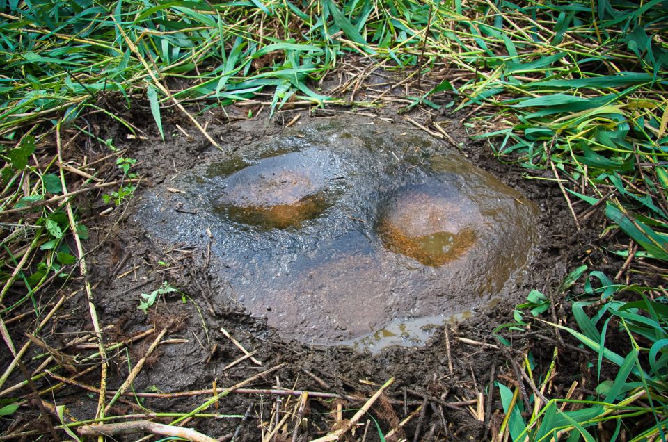 Riņņukalns Settlement and Sacrificial Stone