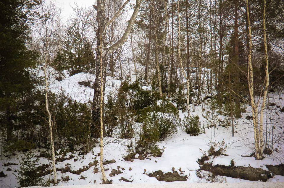 Västerhäll