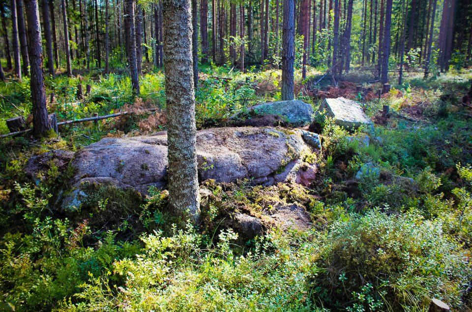 Mežputniņi Devil’s Bed Stone