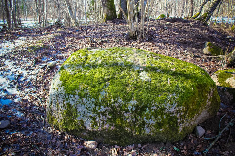 Mūrnieki 1st Cup-Marked Stone