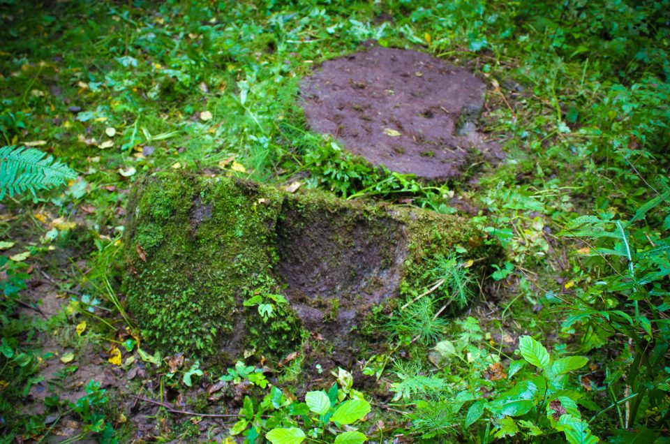 Ezergaļi (Robalta) Stone with bowl-shaped hollow
