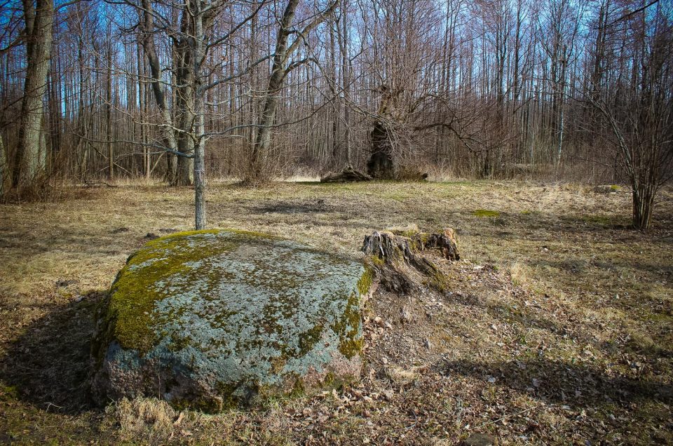 Ezerskola Sacrificial Stone and Sacrificial Linden