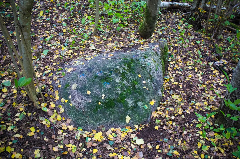 Joguļi 1st Cup-Marked Stone