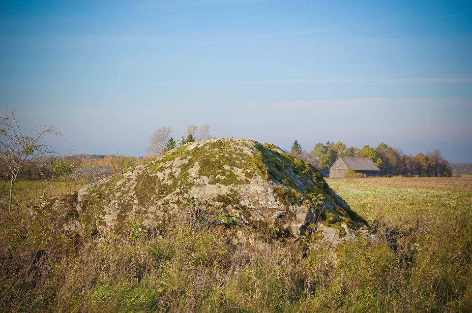 Māteri Devil’s Foot Stone