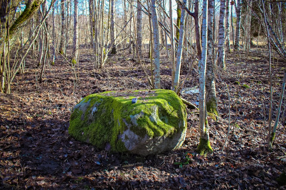 Mūrnieki 2nd Cup-Marked Stone