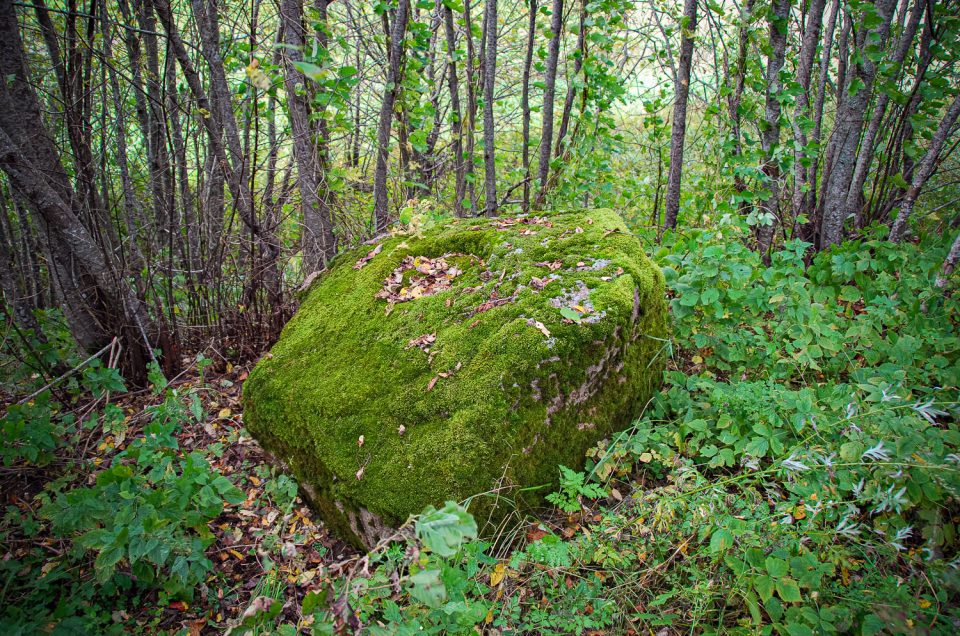 Mazgramzda Bērzi Stone with bowl-shaped hollow