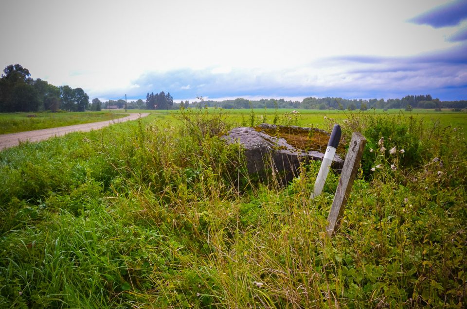 Pae cup-marked stone 1