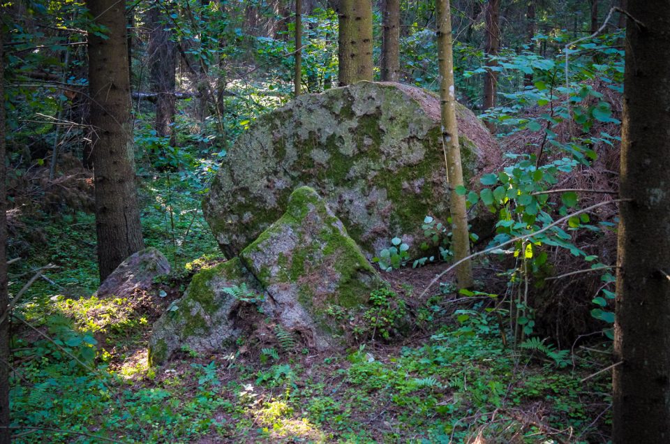 Devil’s Stone from the Slate pine-forest