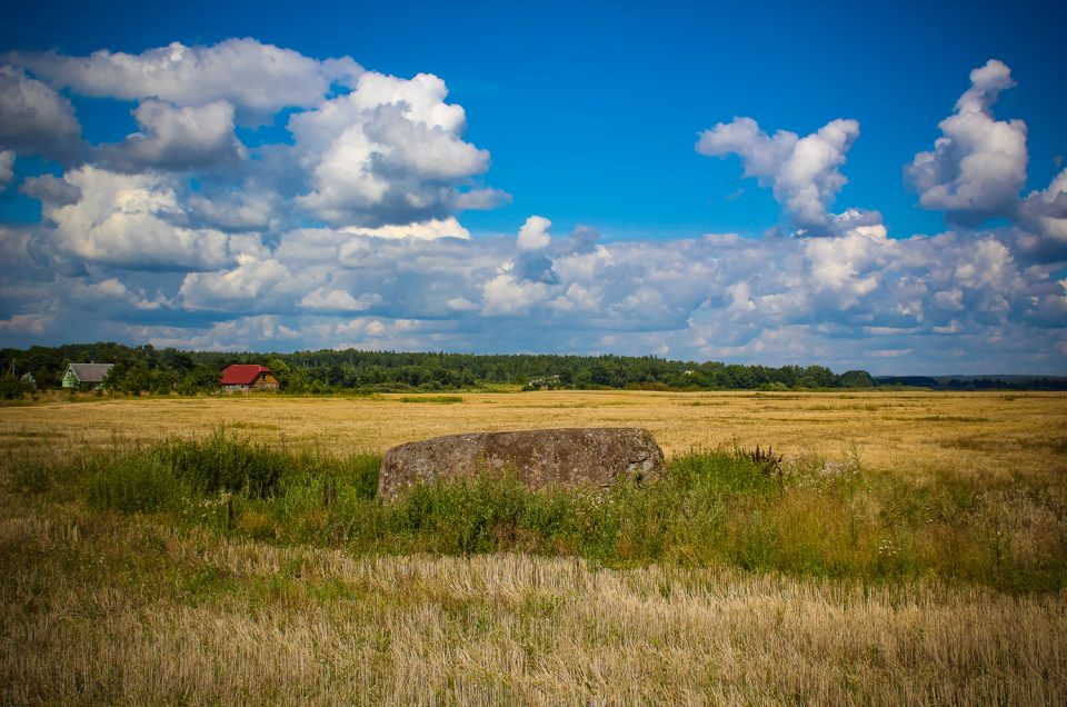 Vaiki (Napoleon’s, Peter I) Stone