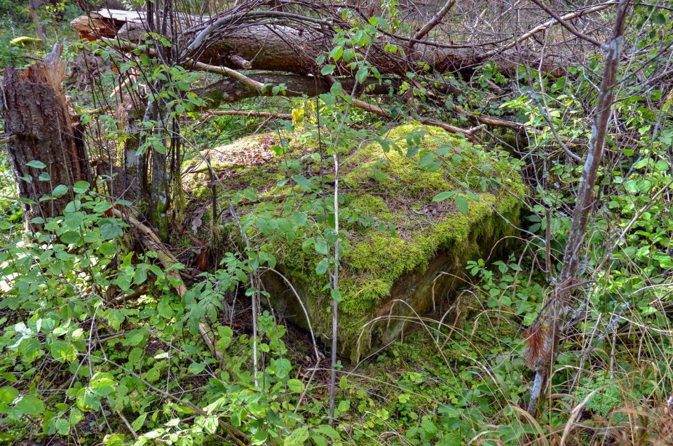 Ghost Stone of Pärase forest