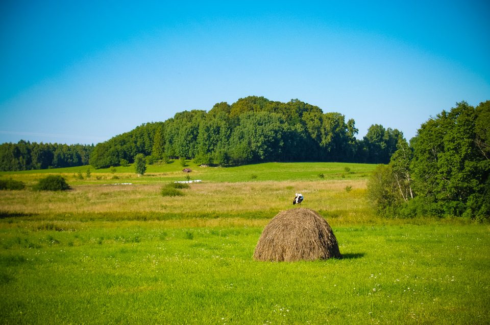 Vallieši Idol’s Hill