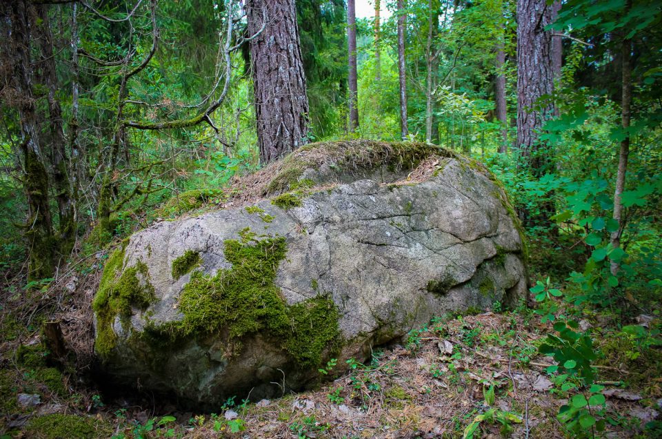 Serene Swedish Money Stone