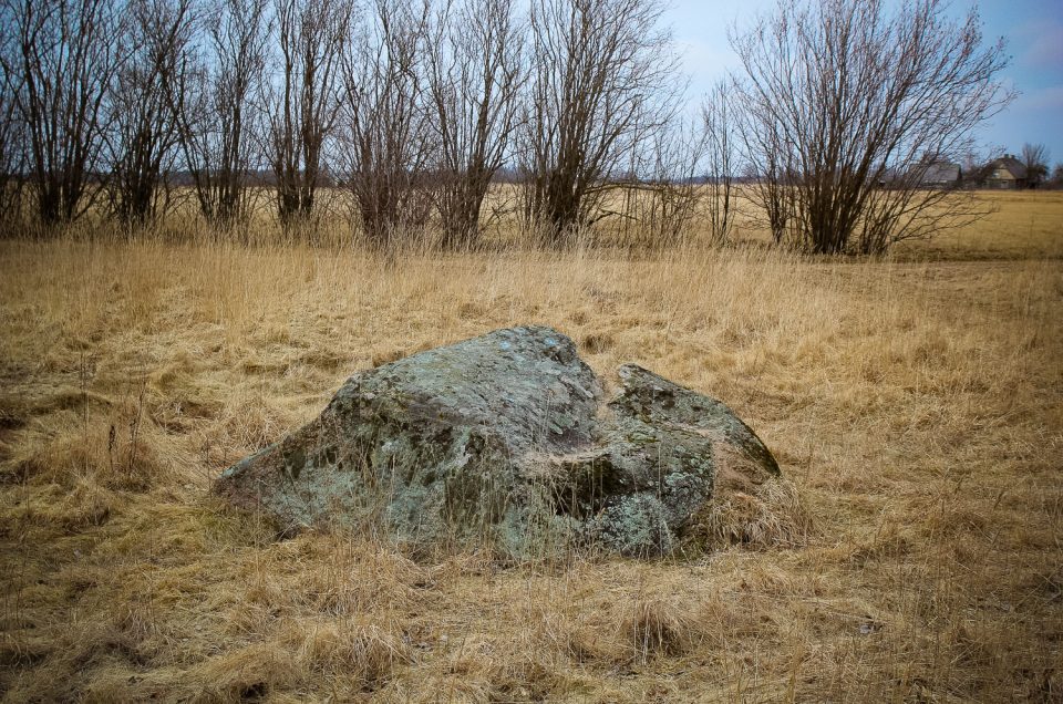 Klaustiņi Cup-Marked Stone