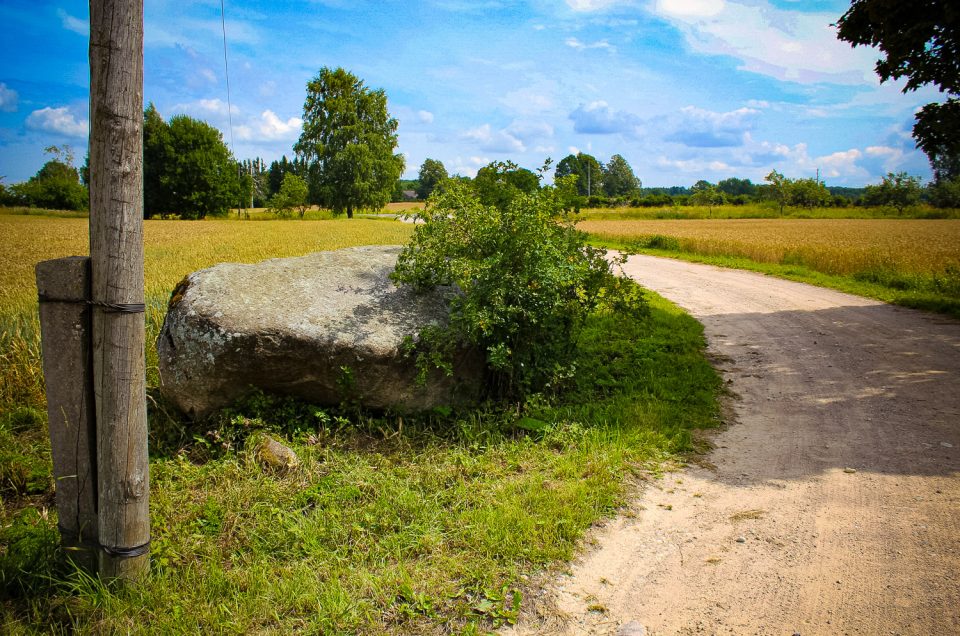 Ventkalni Cup-Marked Stone