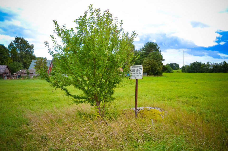 Hõreda cup-marked stone 3