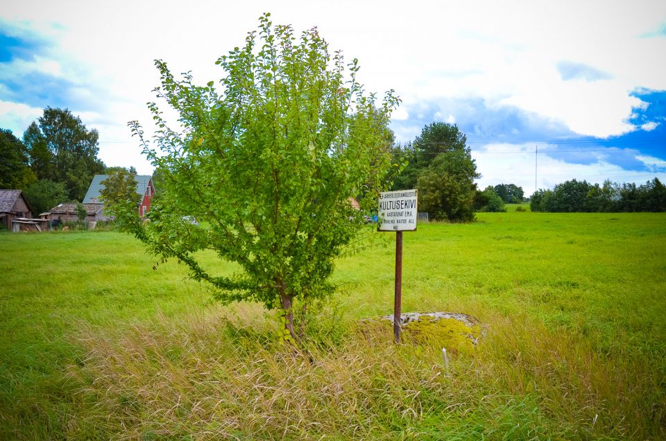 Hõreda cup-marked stone 3