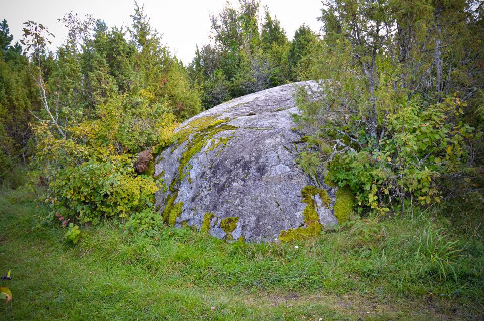 Lõetsa Mualjaste Stone