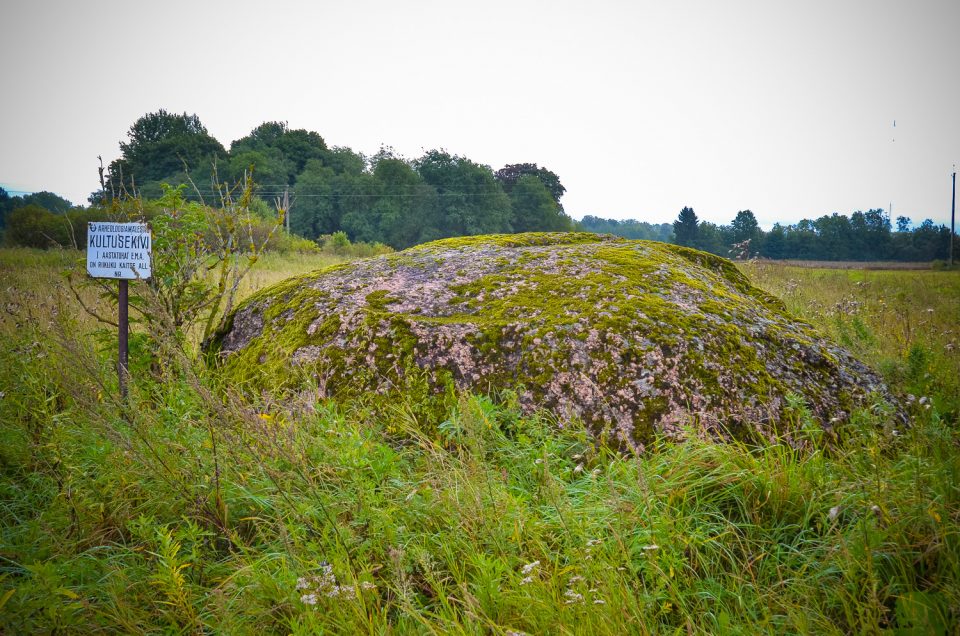 Hõreda cup-marked stone 5